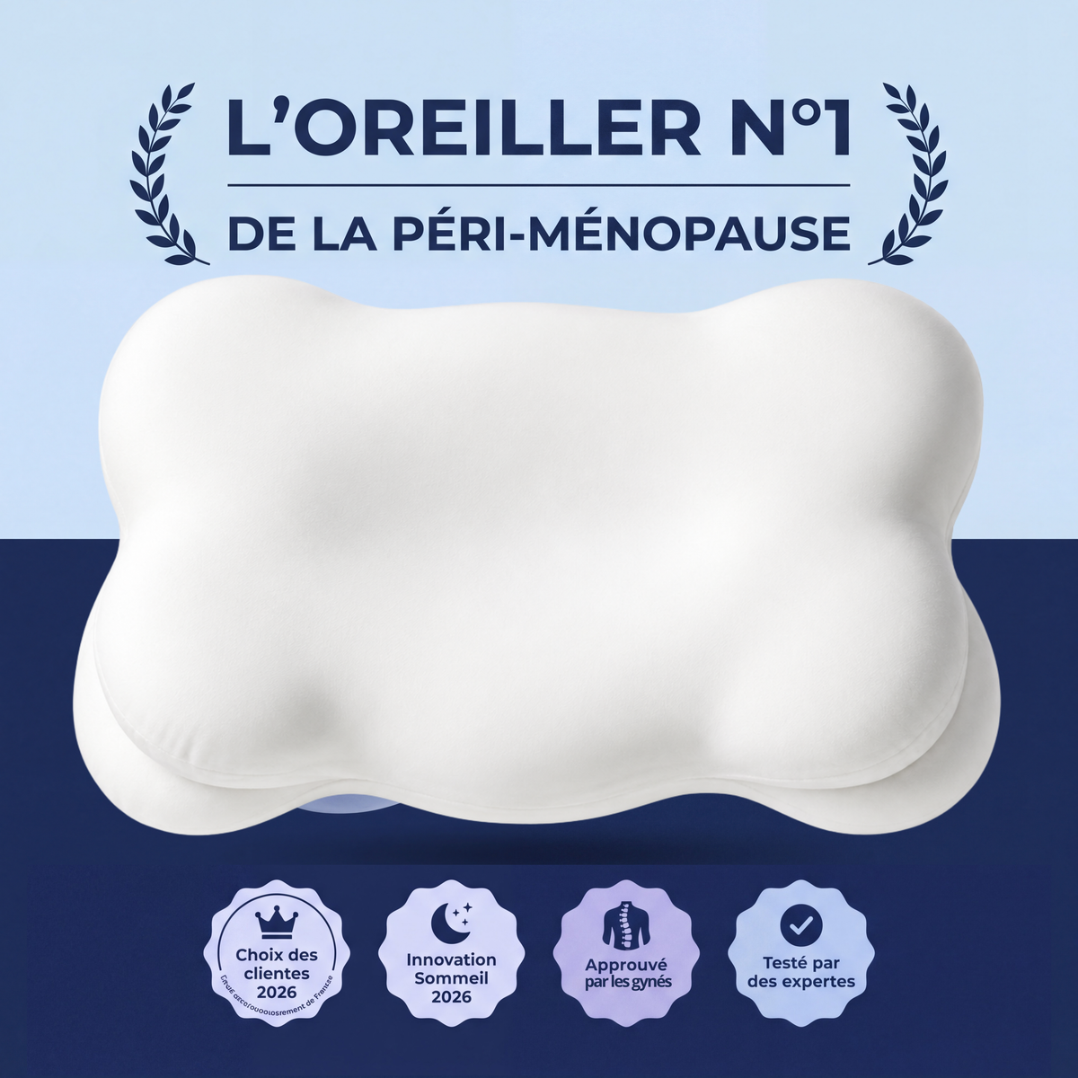 Oreiller rafraichissant Mialune